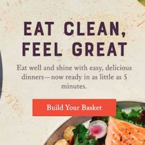 Sun Basket Review