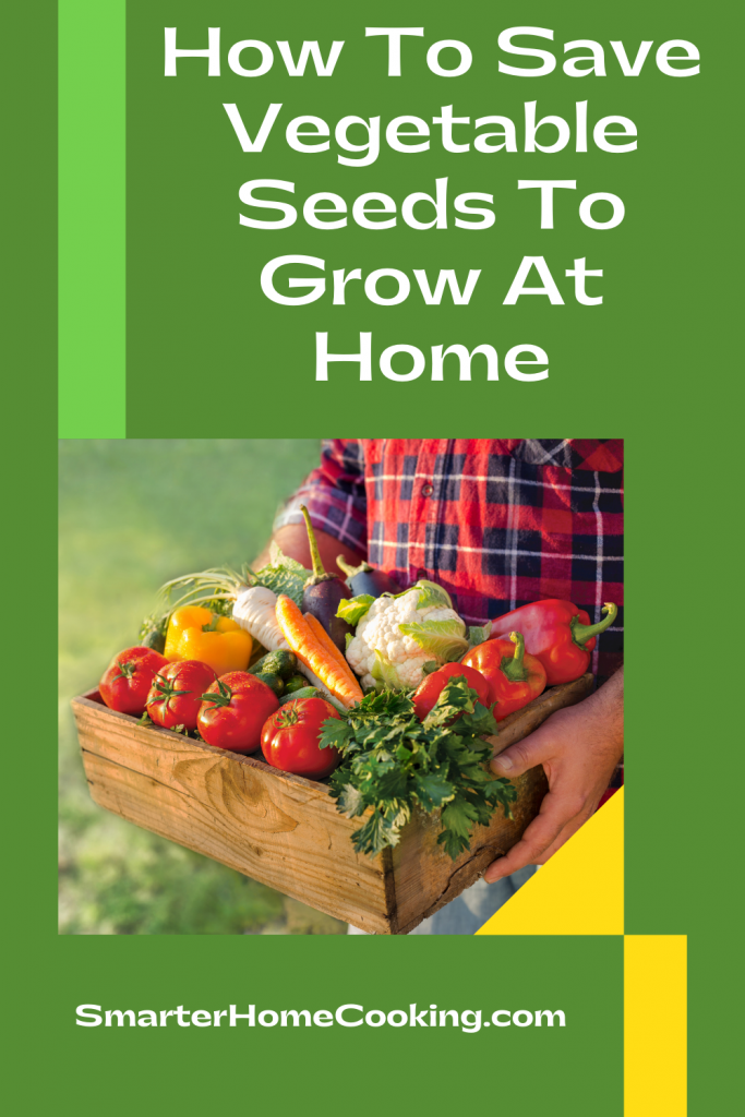 How To Save Vegetable Seeds To Grow At Home