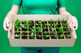 How To Save Vegetable Seeds To Grow At Home