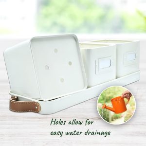 Herb Planter Indoor – Set of 3