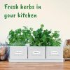 Herb Planter Indoor – Set of 3