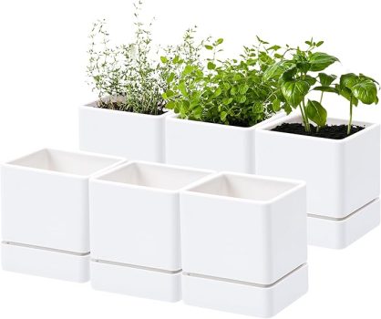 D’vine Dev 4 Inch Herb Planter Pots