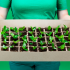 Food Storage Safety Tips