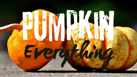 Pumpkin Spice Gone Wild