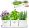 Herb Planter Indoor – Set of 3