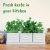 Herb Planter Indoor – Set of 3