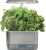 AeroGarden Harvest Elite Indoor Garden Hydroponic System with LED Grow Light and Seed Kit