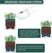 D'vine Dev 4 Inch Herb Planter Pots