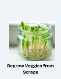 From Scraps to Sustenance: Regrow Vegetables at Home with Kitchen Leftovers